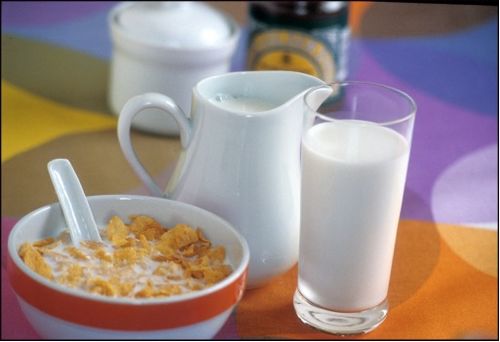 探索欧盟牛奶和乳制品的巨大多样性